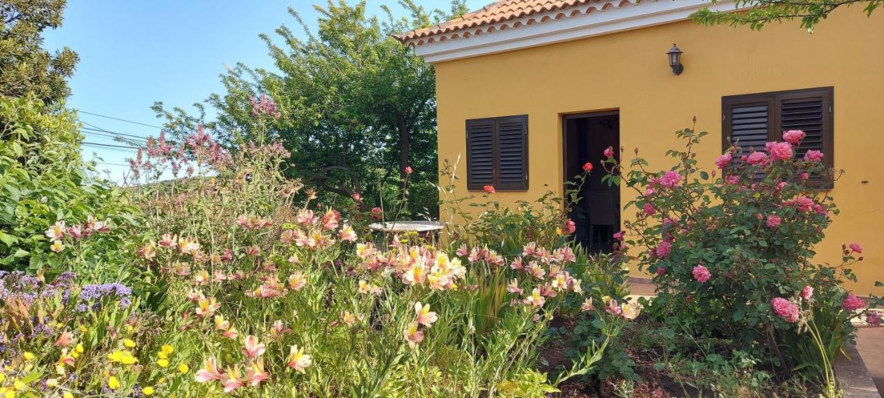 Casa Fatima Valle Gran Rey Dış mekan fotoğraf